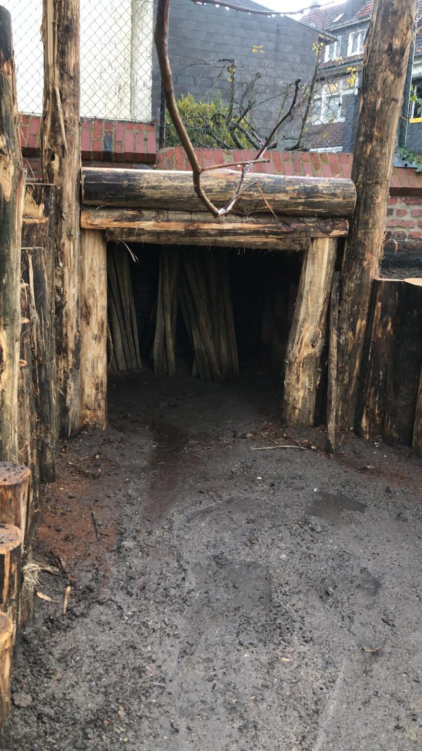 3ce2d219-2b4e-4058-bd44-22436e0bccb8